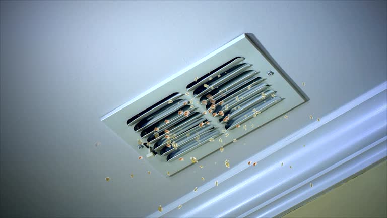 Best Duct Cleaning for Offices  in Braidwood, IL