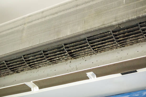 Best Professional Duct Cleaning Services  in Braidwood, IL