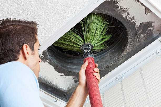 Best Air Vent Cleaning Services  in Braidwood, IL